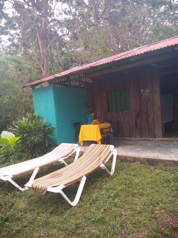 Cabanas Y Camping La Palmera