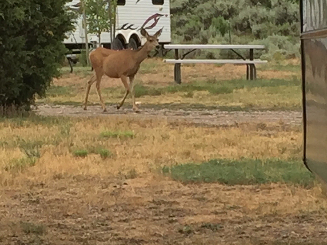Camp Lutherwood Campground