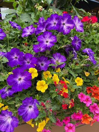 Pokolodi Lodge主图