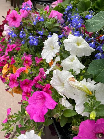 Pokolodi Lodge主图