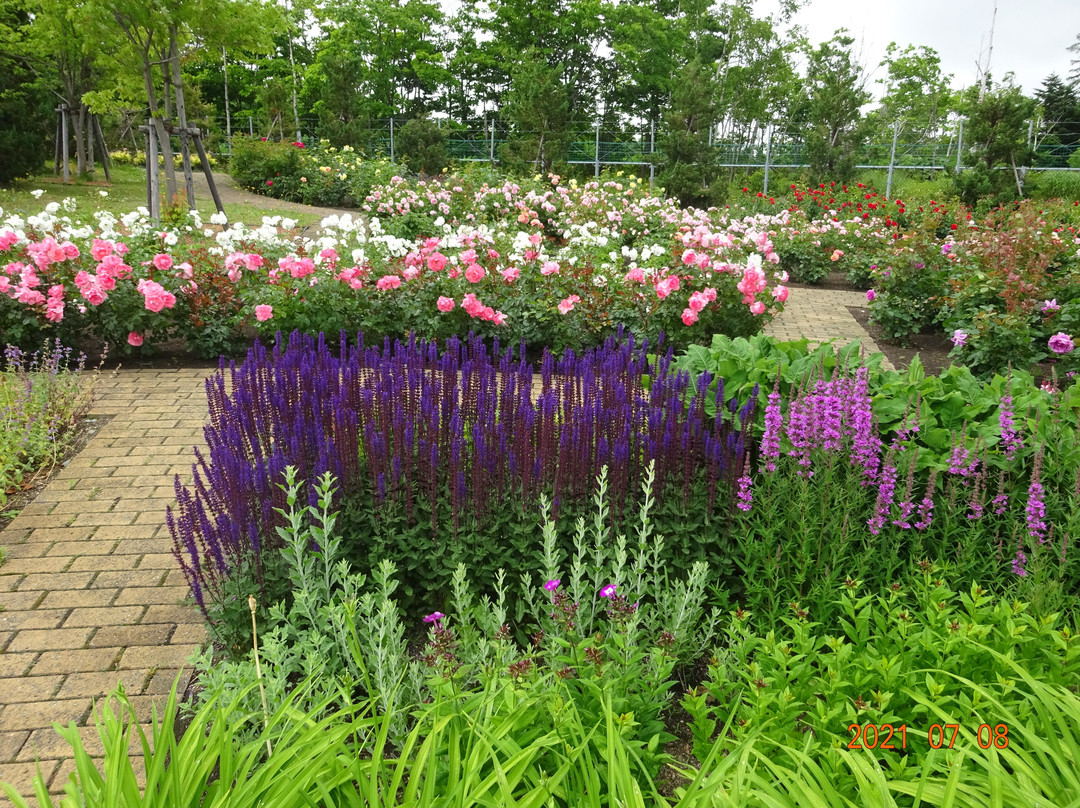 Iwamizawa Service Area Outbound-岩见泽市必去景点