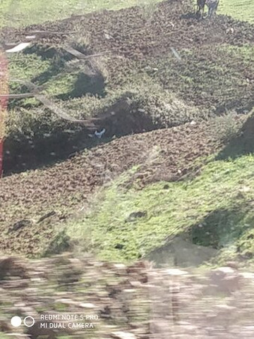 Showcase India Tourism Company-孟买必去景点