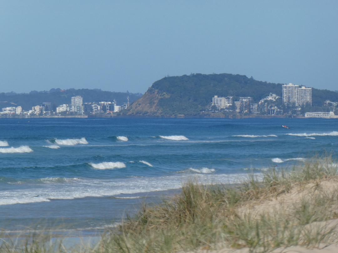 Narrow Neck Beach景点图片