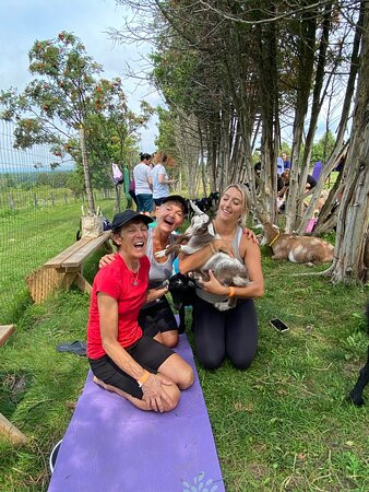 Haute Goat-Port Hope必去景点