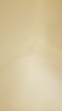 Mountain Laurel Resort主图