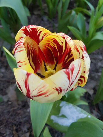 Harvey Visitor Centre-Harvey必去景点