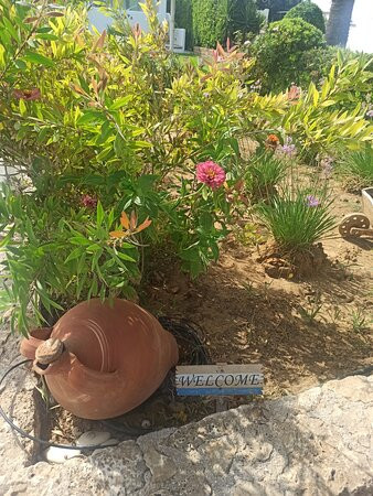 Agalipa Studios主图