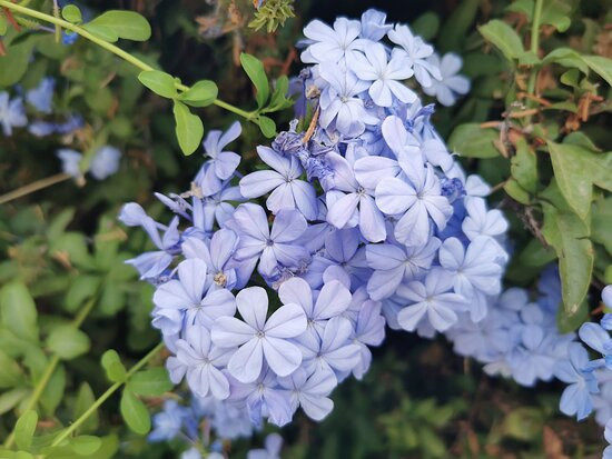 Gr 249 Senda Litoral-Rincon de la Victoria必去景点