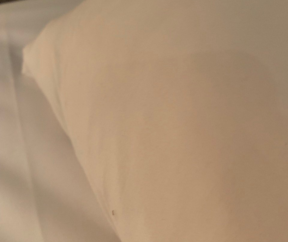 Kokoon Hotel Banyuwangi主图