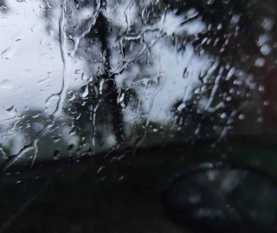 Bonita Banasura主图