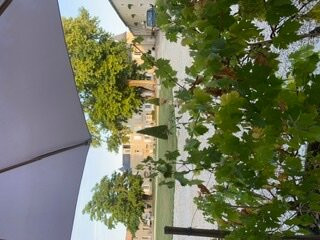 Hotel Domaine Du Griffier主图