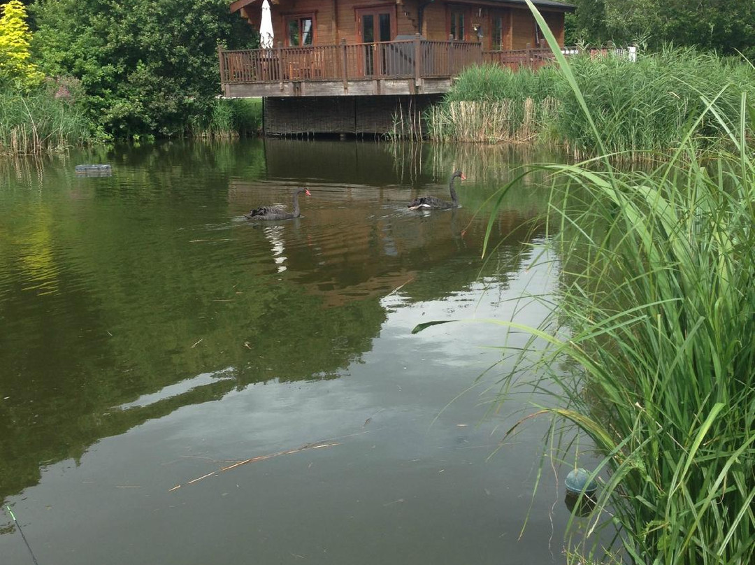 Badwell Ash Holiday Lodges
