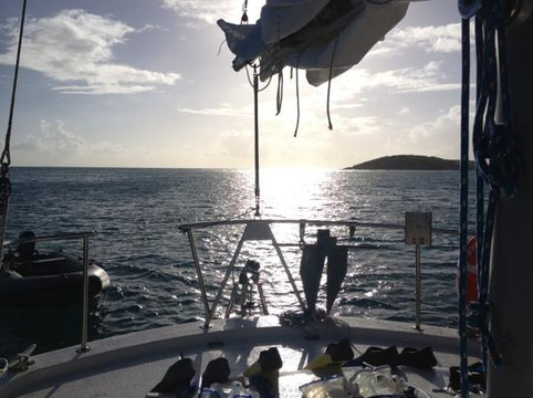 Vieques Sailing Charters-维切克岛必去景点