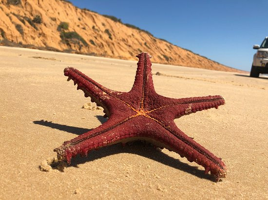 Três Sereias Beach Resort主图