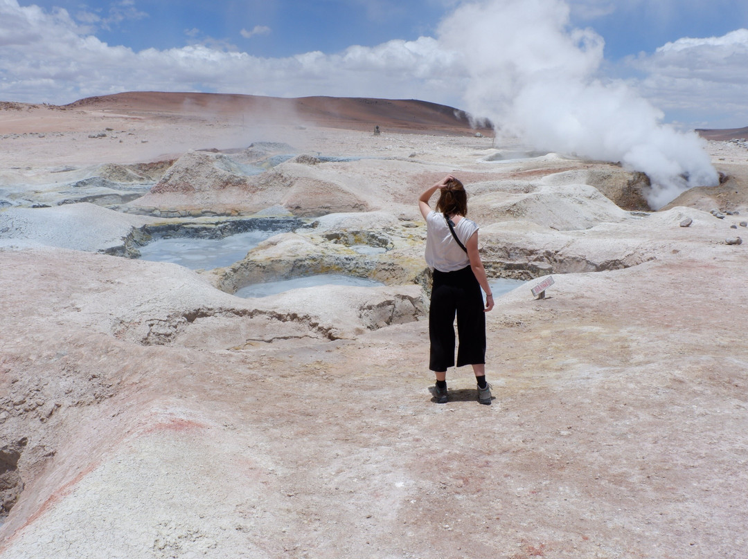 Tours in Uyuni by Howlanders景点图片