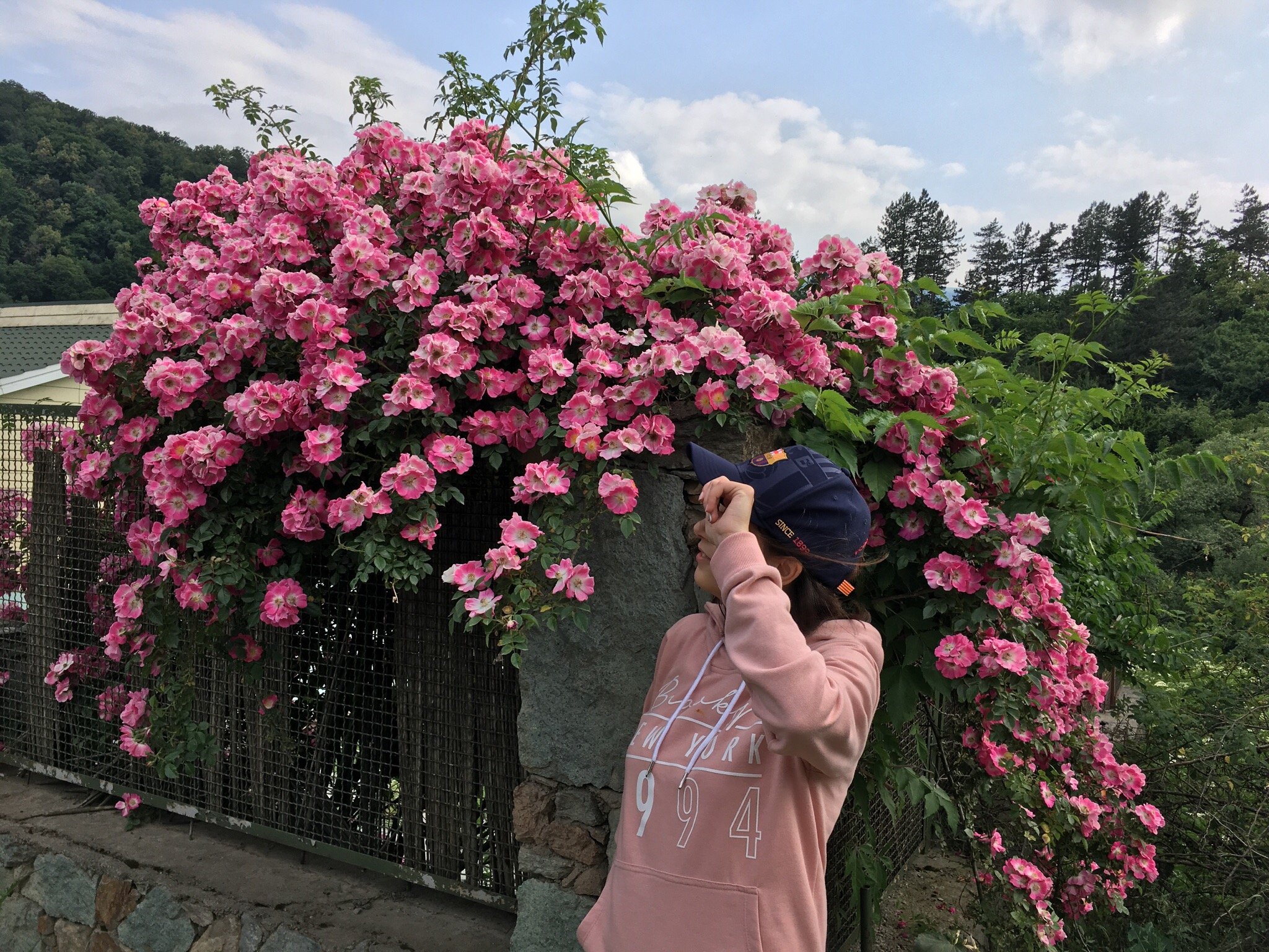 Aurora Guest House-官方
