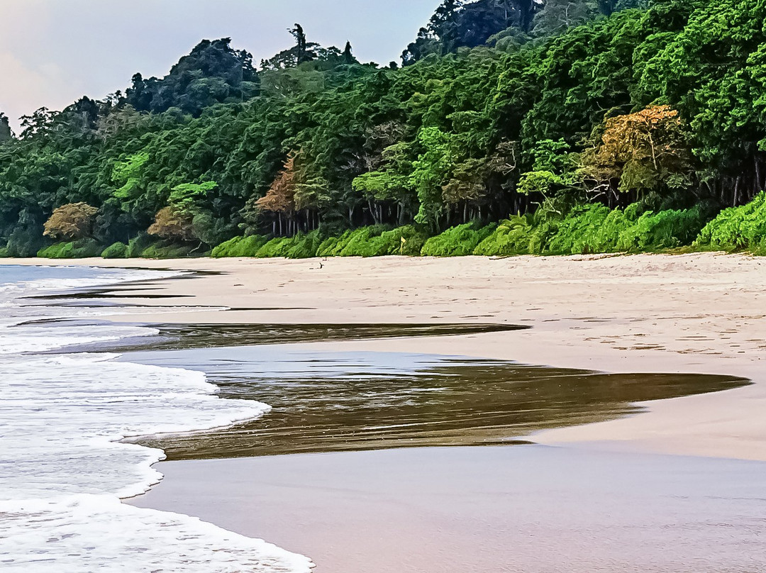 null-哈夫洛克岛