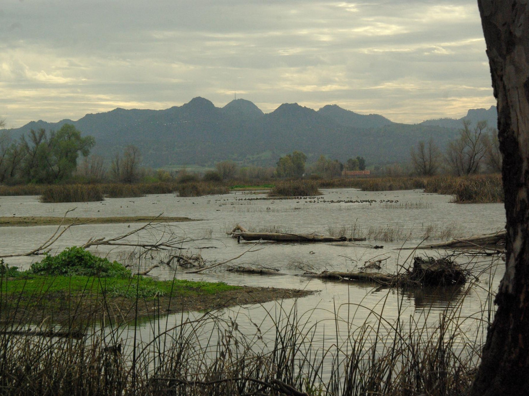 Gray Lodge Wildlife Area-Gridley必去景点
