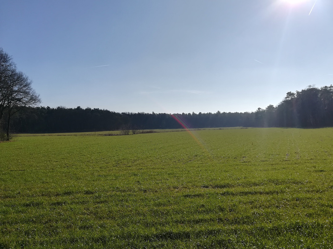 Hoogerheide旅游攻略图片