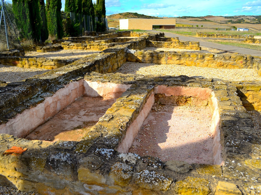 Ciudad Romana de Andelos景点图片