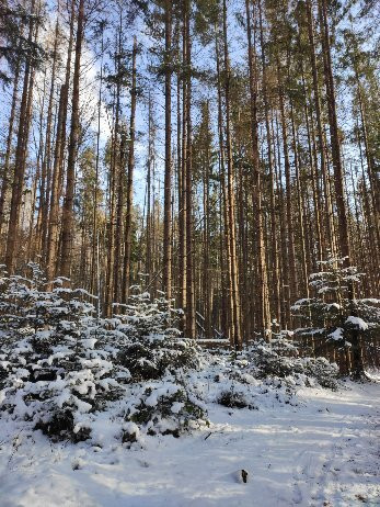 Makovytsia Mountain-Yaremche必去景点
