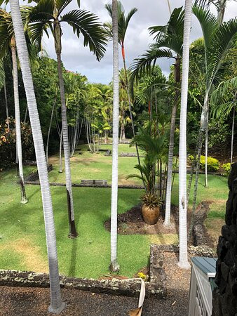 Sadie Seymour Botanical Gardens-凯鲁瓦-柯纳必去景点