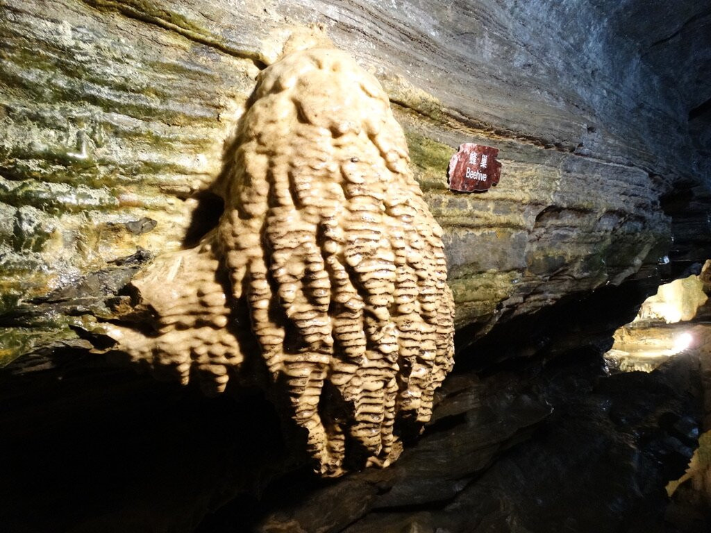 Secret Caverns-Howes Cave必去景点