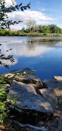 Tifft Nature Preserve-水牛城必去景点