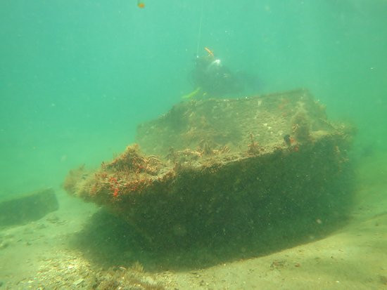 Florida Underwater Sports-萨拉索塔必去景点