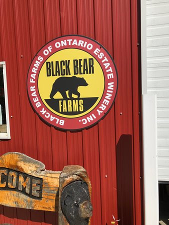 Black Bear Farms of Ontario Estate Winery-Kingsville必去景点