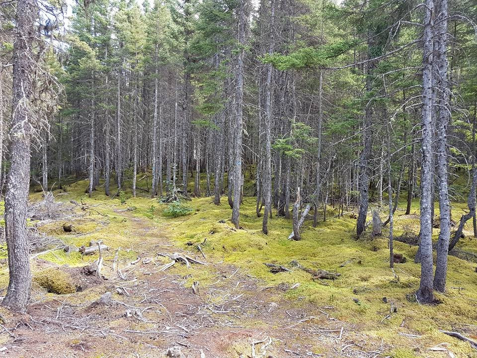 Aylmer - Whittom Park-七岛港必去景点