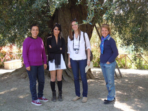 Convivio Rome - Olive Oil Tour-罗马必去景点