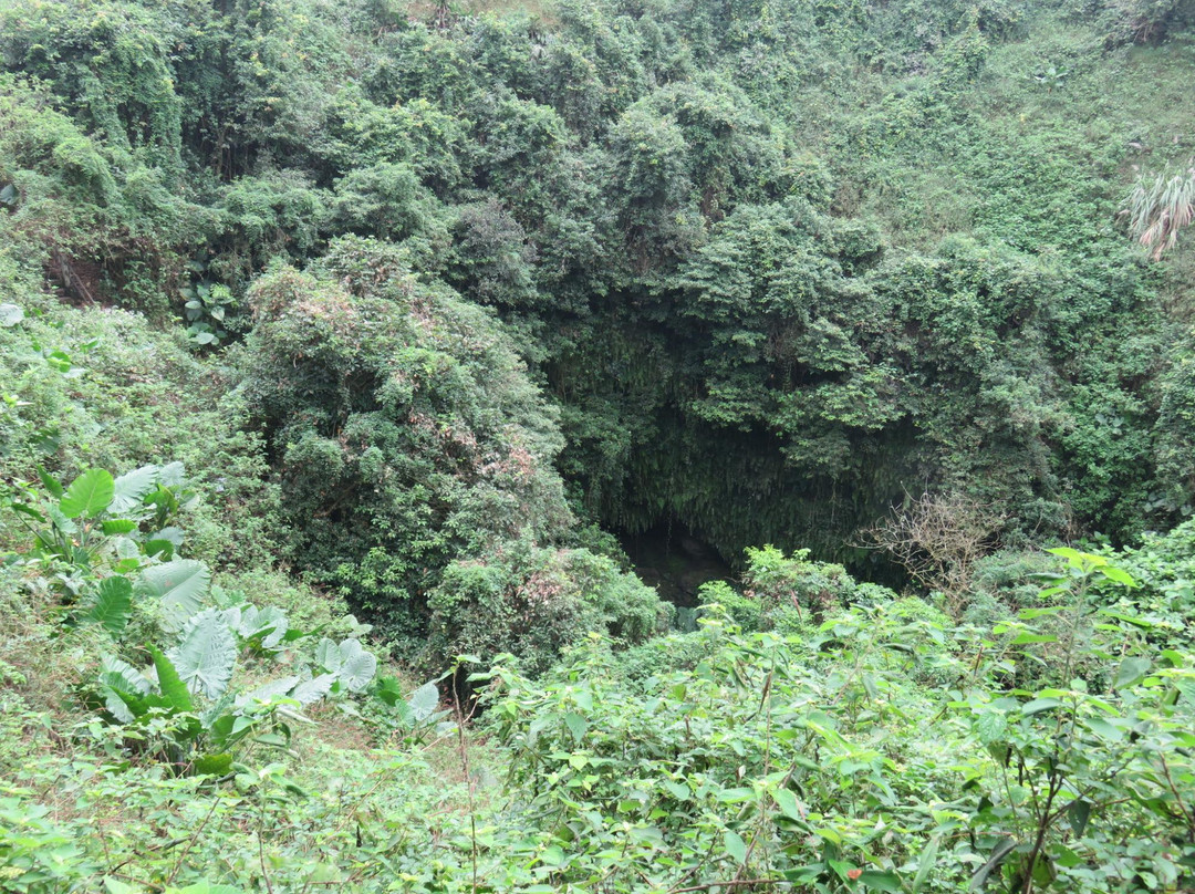 海口石山火山群景点图片