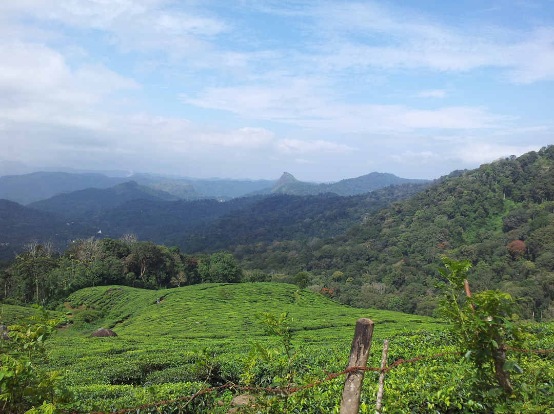 Musafir Day Tours-慕那尔必去景点