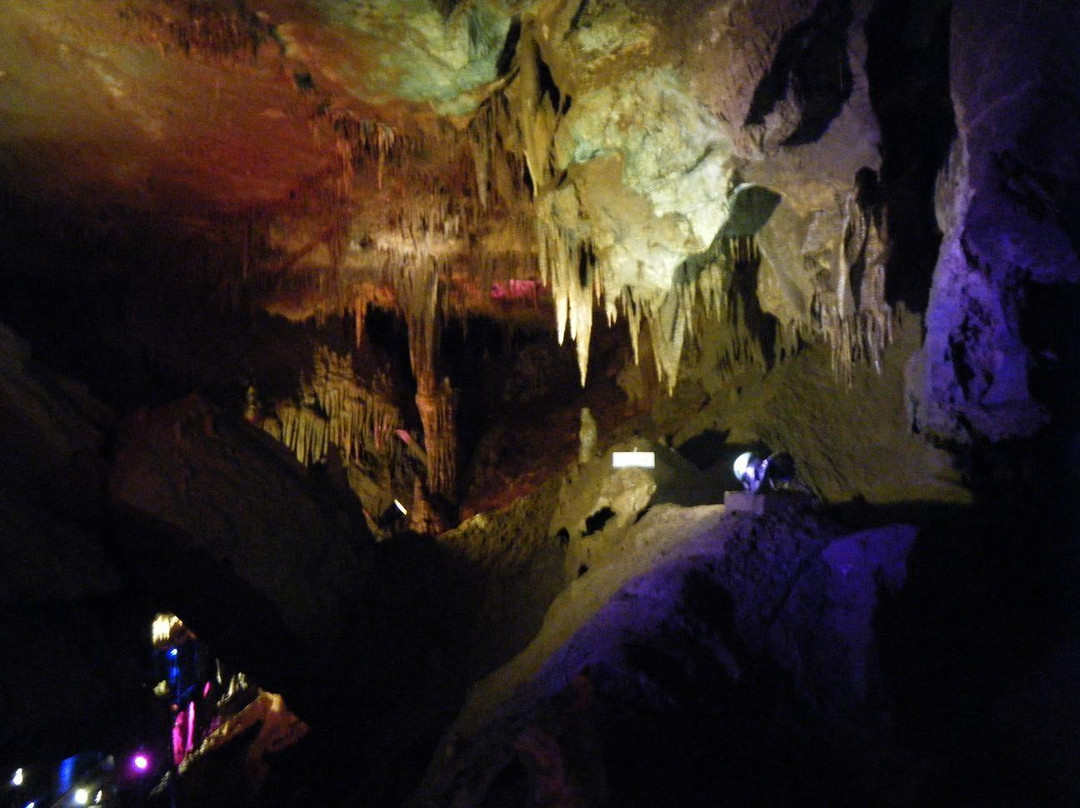 东海市旅游景点-Cheongok Golden Bat Cave