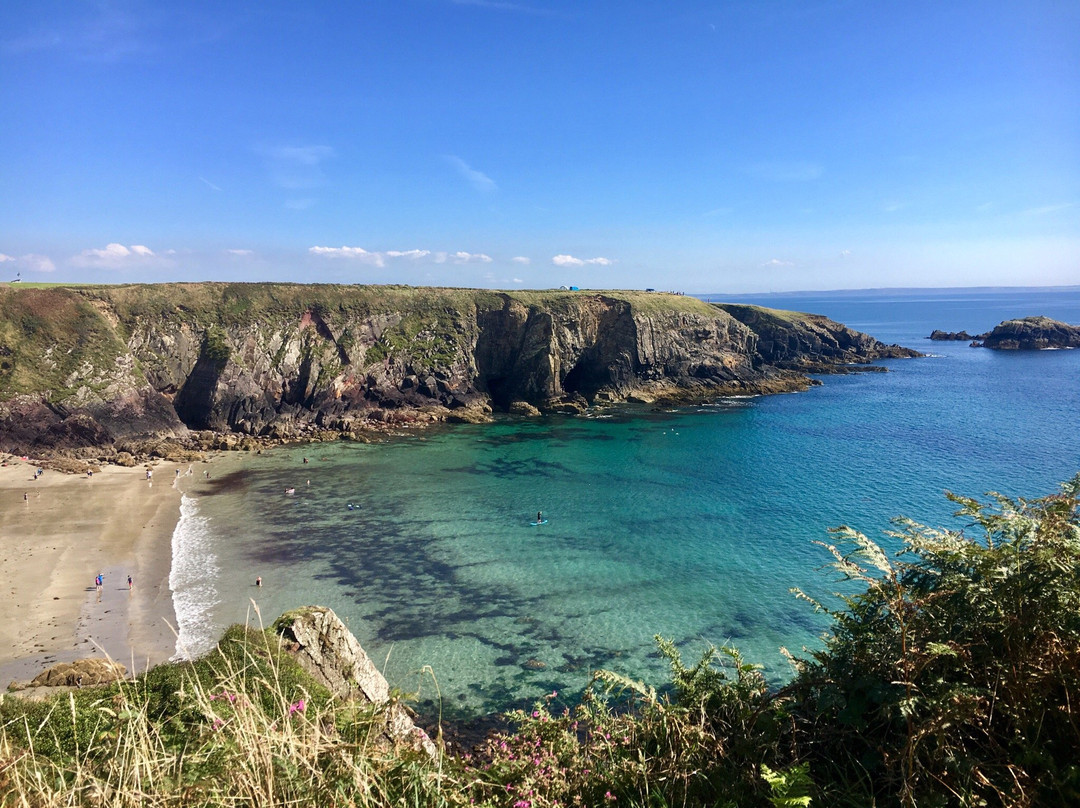 St Davids Farm Camping