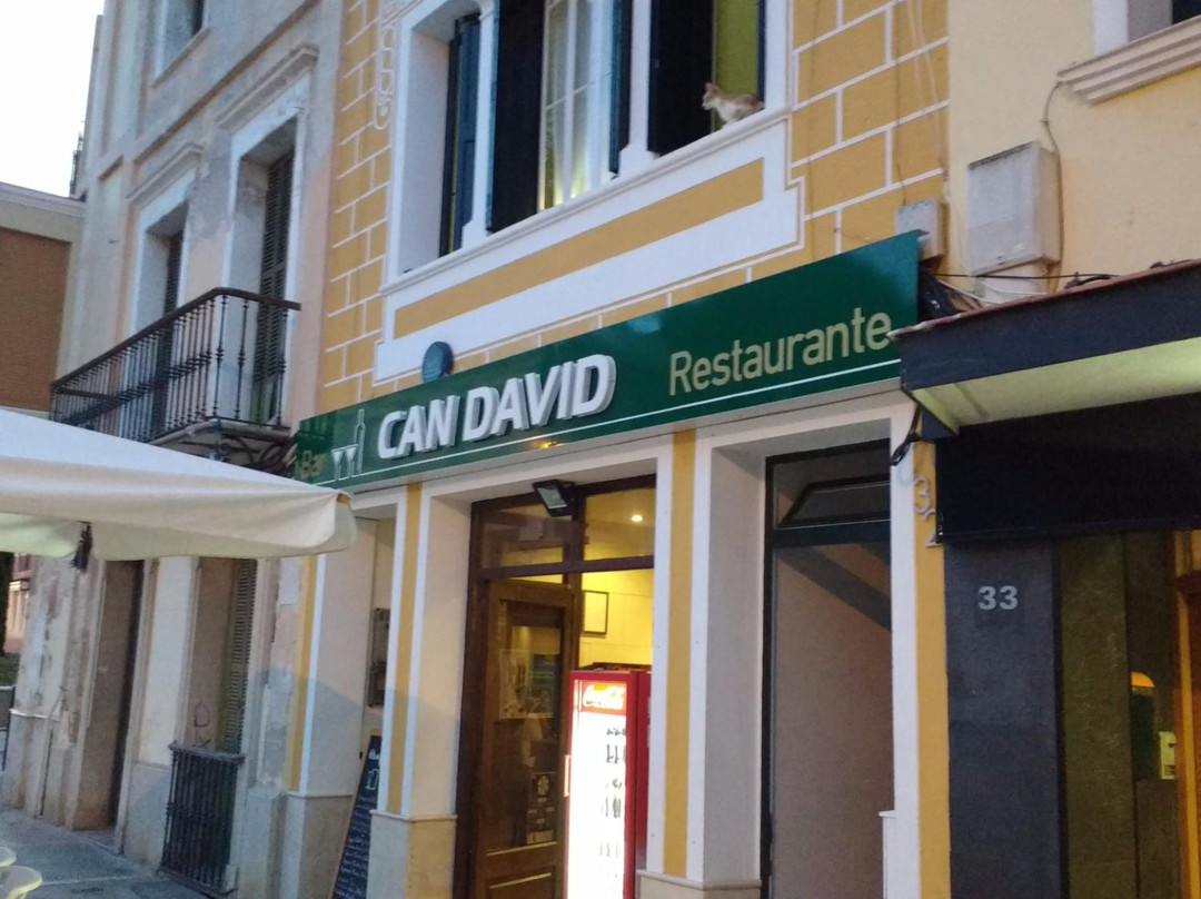 Can David