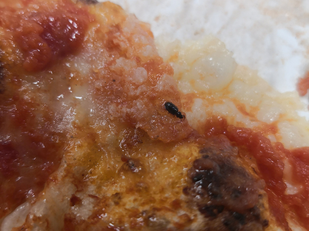 La Pizza Anima E Farina