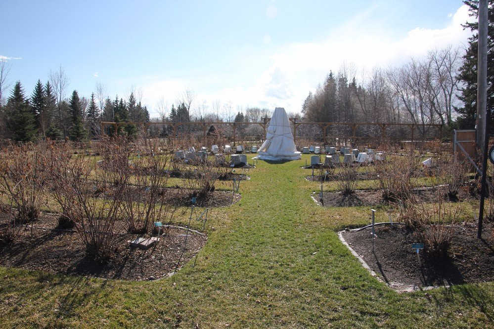 圣艾伯特旅游攻略图片