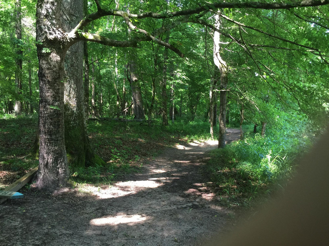 纽南旅游攻略图片