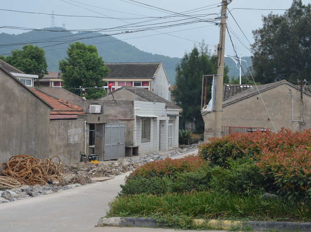 舟山普陀蚂蚁岛