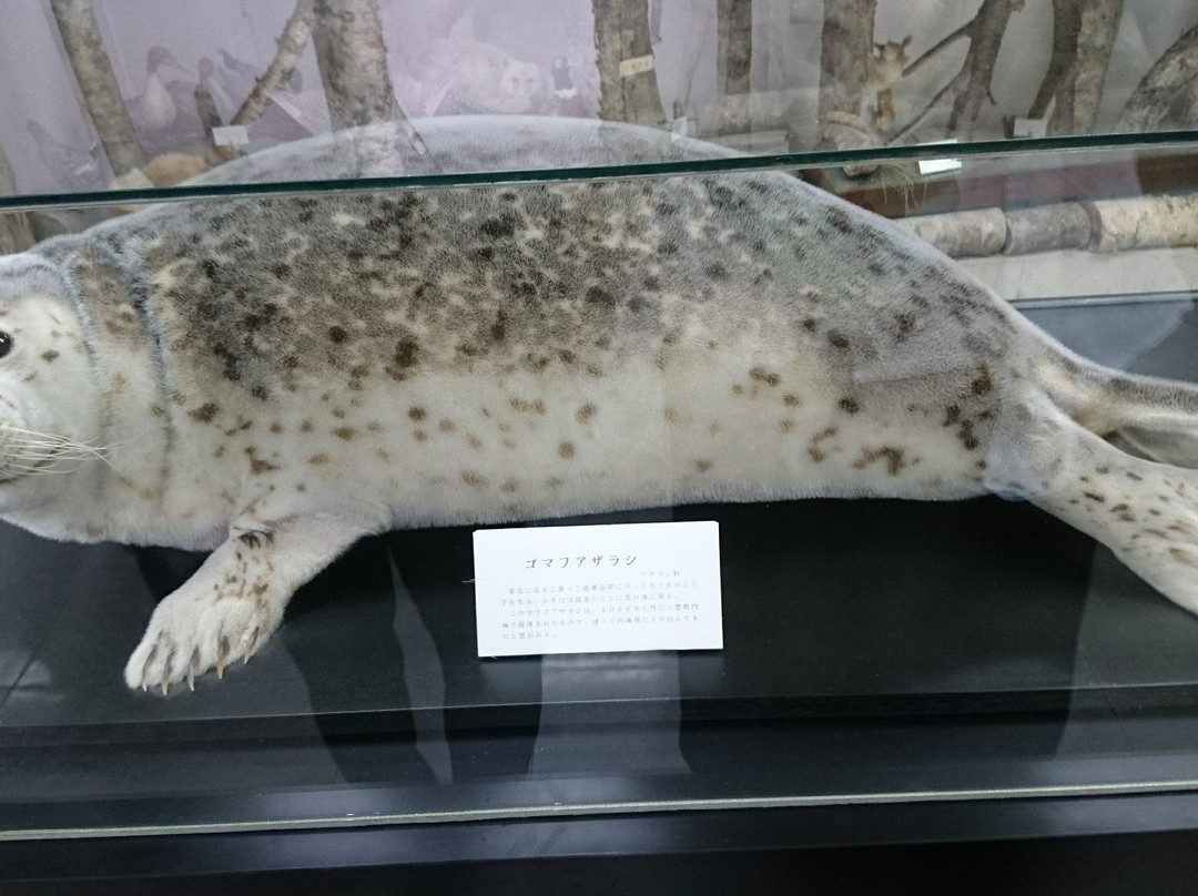 八云町旅游景点-Yakumocho Carved Wooden Bears Museum