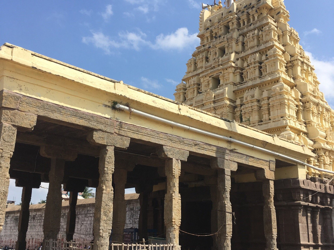 Devanathaswamy Temple景点图片
