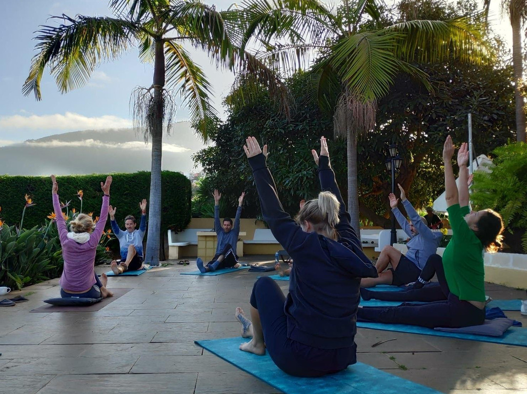 Yoga Tenerife景点图片