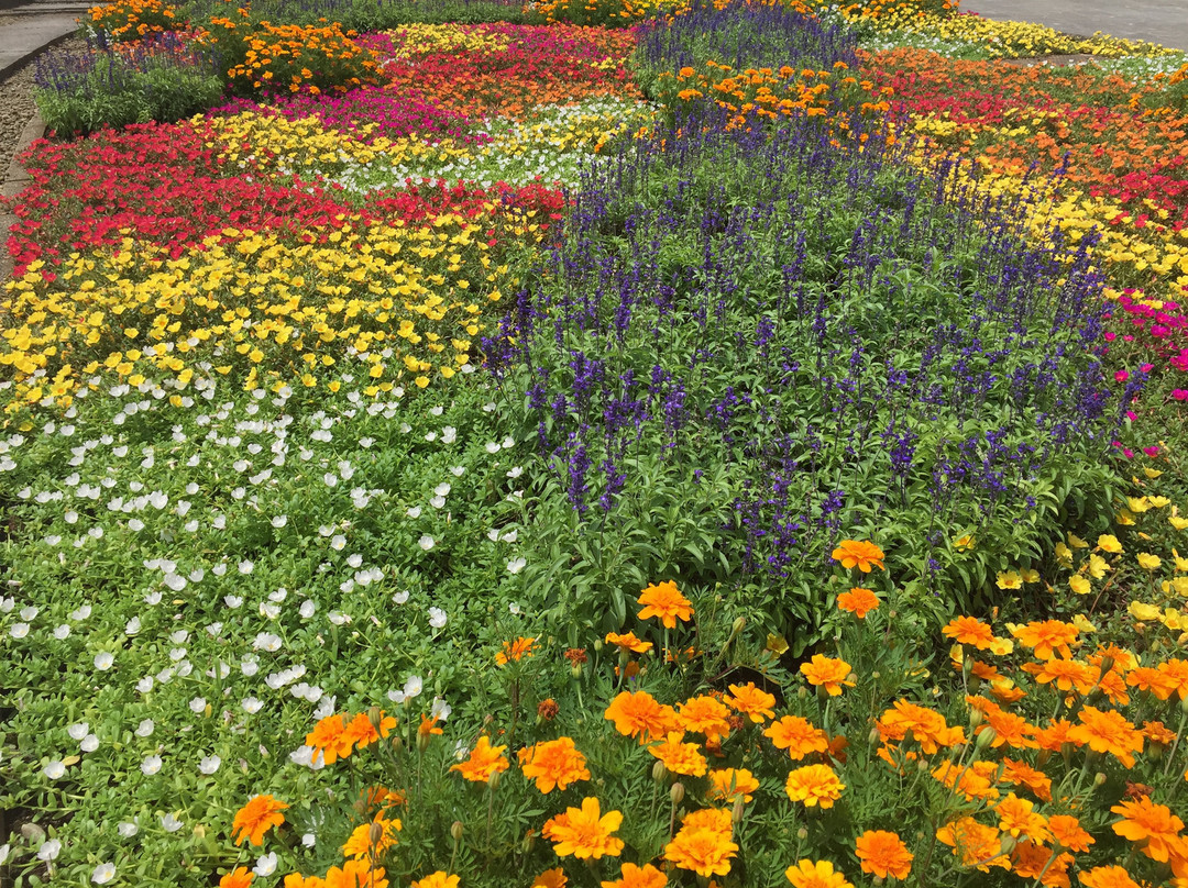 Forest and Park for the 21st Century