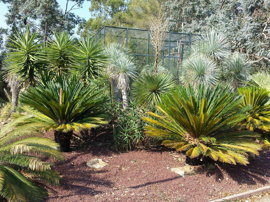 Jardin Zoologique Tropical-La Londe Les Maures必去景点