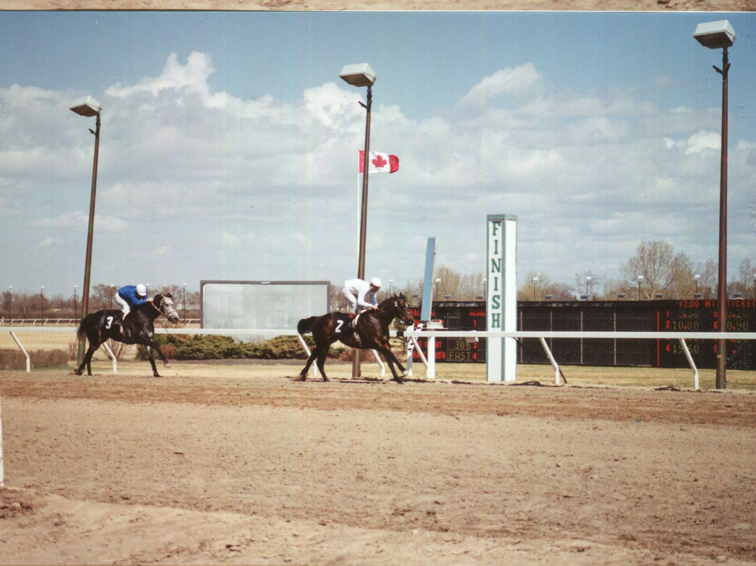 Assiniboia Downs Horse Racing Track景点图片