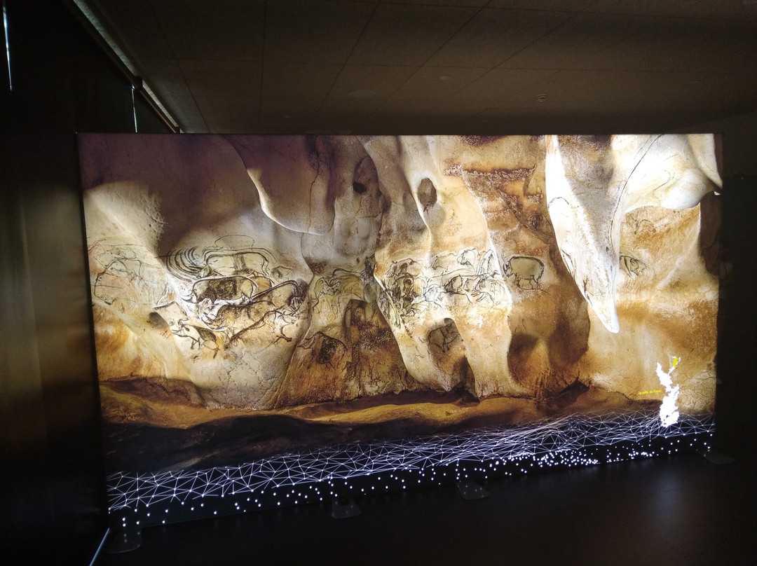 Espace Muséal d'Andenne景点图片