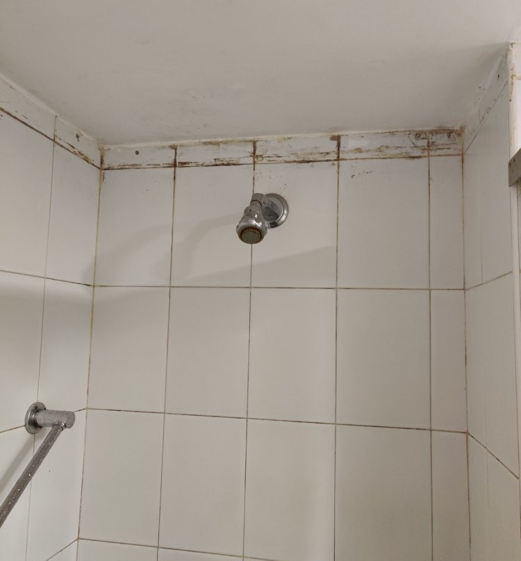 The South Park主图