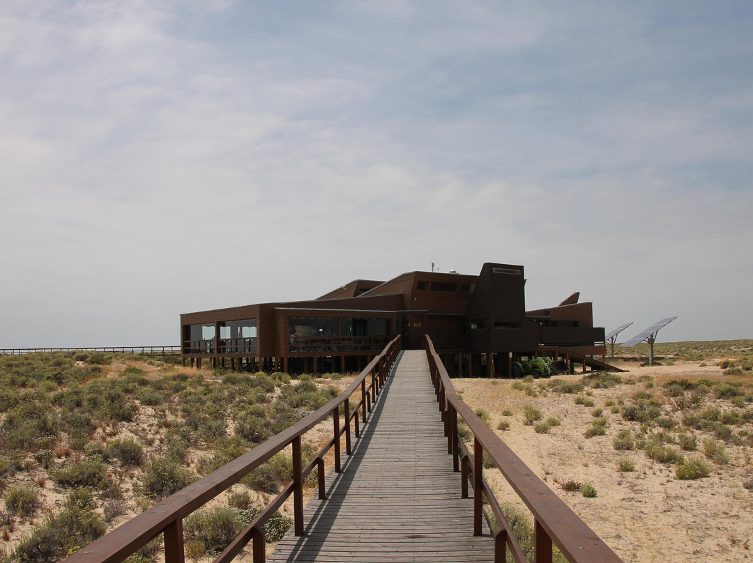 Animaris Ilha Deserta-法罗必去景点